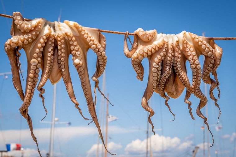 063 Paros, inktvissen.jpg